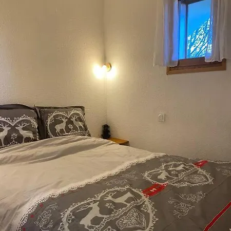 Beau 2 Pieces Vue Mont Blanc Apartamento
