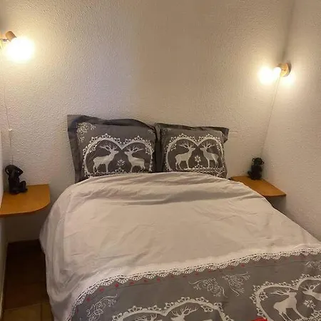 Beau 2 Pieces Vue Mont Blanc Apartamento *
