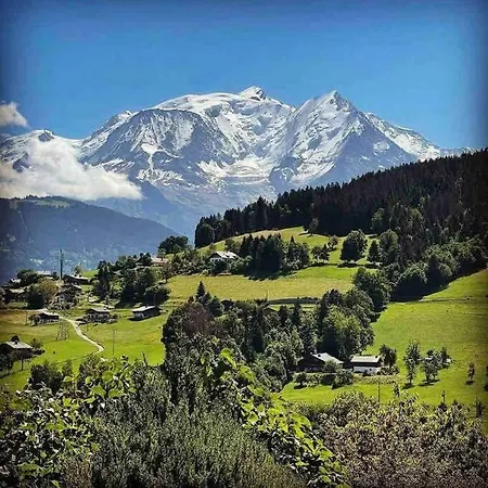 Apartamento Beau 2 Pieces Vue Mont Blanc