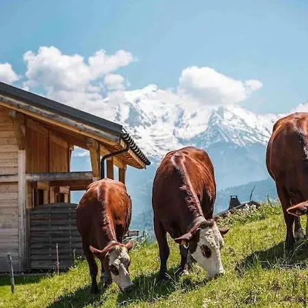 Beau 2 Pieces Vue Mont Blanc *