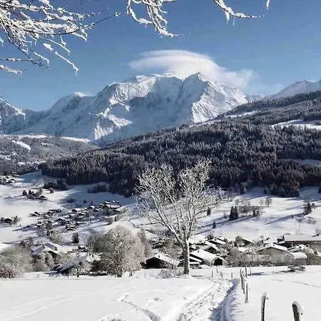 Apartamento Beau 2 Pieces Vue Mont Blanc Combloux